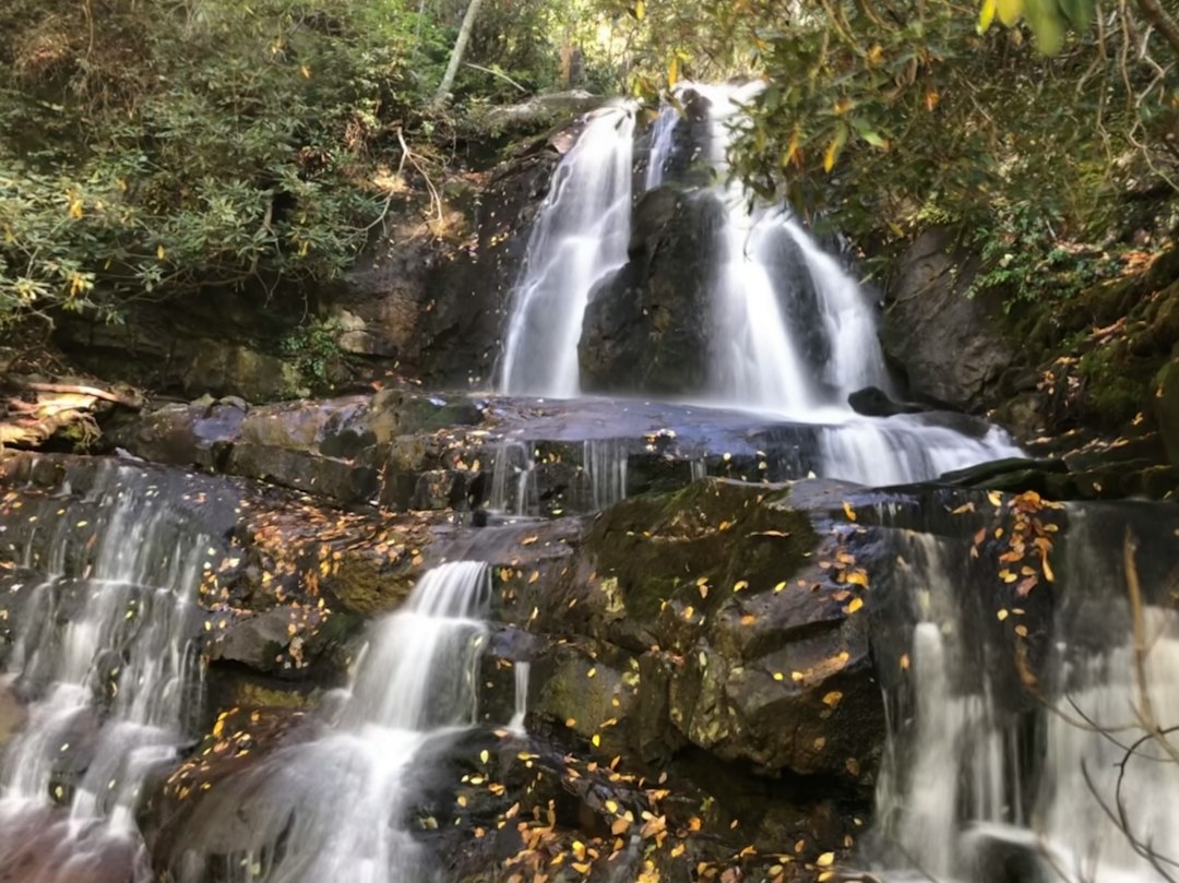 Water cascading over rocks at Laurel Falls; check NPS for trail reopening